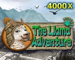 JDB : Llama Adventure - SOLIDPLAY99