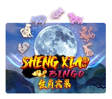 Sheng Xiao Bingo - SOLIDPLAY99