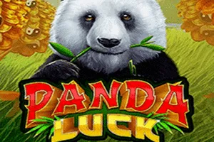 Panda Luck - SOLIDPLAY99