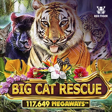 Big Cat Rescue Megaways - SOLIDPLAY99