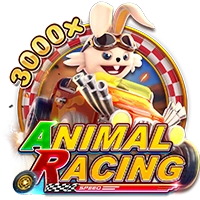 ANIMAL RACING - SOLIDPLAY99