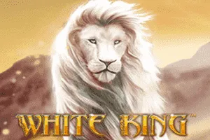 White King - SOLIDPLAY99