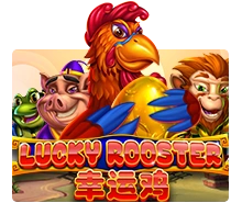 Lucky Rooster - SOLIDPLAY99