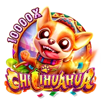 CHILIHUAHUA - SOLIDPLAY99