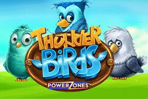 Power Zones: Thunder Birds - SOLIDPLAY99