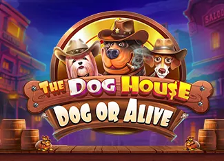 The Dog House - Dog or Alive - SOLIDPLAY99