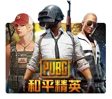 Pubg - SOLIDPLAY99