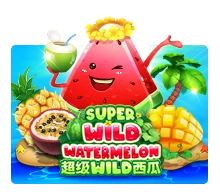 Super Wild Watermelon - SOLIDPLAY99