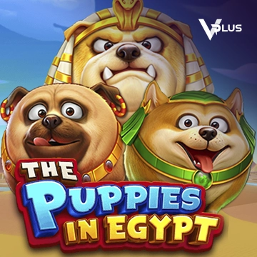 The Puppies In Egypt - SOLIDPLAY99