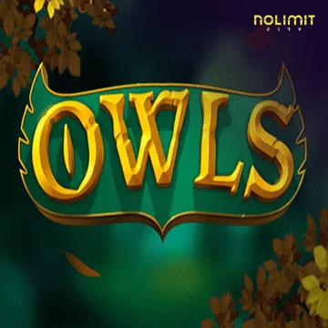 Owls - SOLIDPLAY99