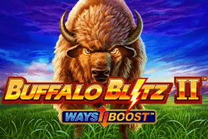 Buffalo Blitz II - SOLIDPLAY99