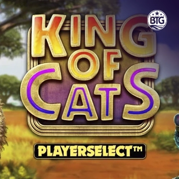 King of Cats - SOLIDPLAY99