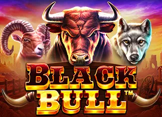 Black Bull - SOLIDPLAY99