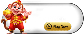 Spinocchio - SOLIDPLAY99