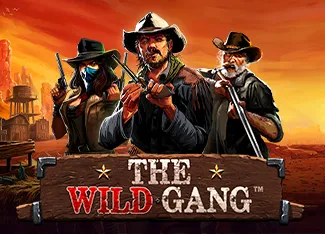 The Wild Gang - SOLIDPLAY99