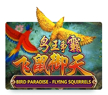 Bird Paradise - SOLIDPLAY99