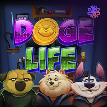 Doge Life - SOLIDPLAY99