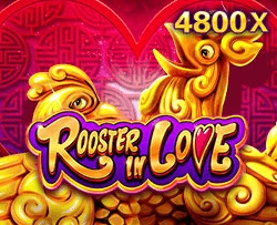 JDB : Rooster In Love - SOLIDPLAY99
