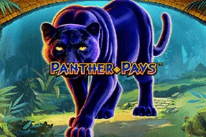 Panther Pays - SOLIDPLAY99