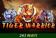 Tiger Warrior - SOLIDPLAY99