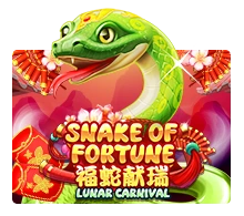Snake Of Fortune - SOLIDPLAY99