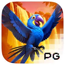 Wings of Iguazu - SOLIDPLAY99