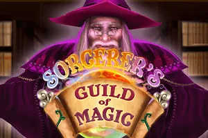 Sorcerers Guild of Magic - SOLIDPLAY99
