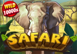 AFB : Safari - SOLIDPLAY99