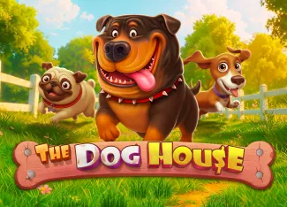 The Dog House - SOLIDPLAY99