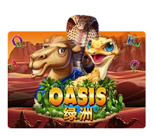 Oasis - SOLIDPLAY99