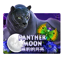 Panther Moon - SOLIDPLAY99